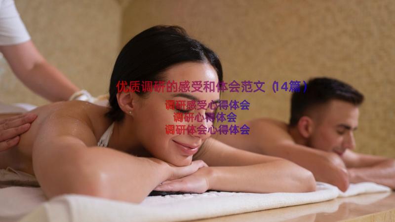 优质调研的感受和体会范文（14篇）