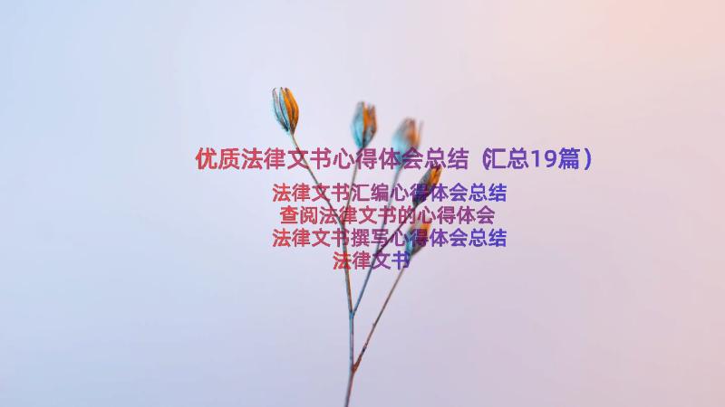 优质法律文书心得体会总结（汇总19篇）