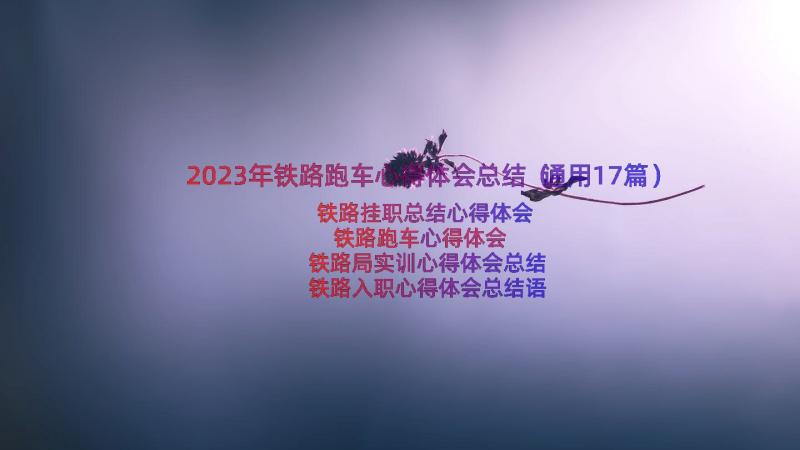 2023年铁路跑车心得体会总结（通用17篇）