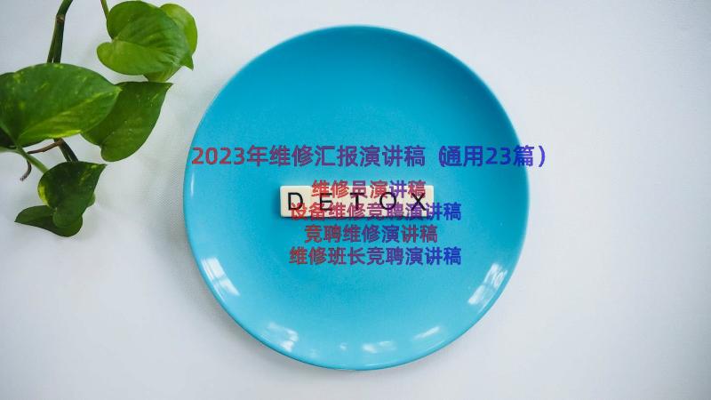 2023年维修汇报演讲稿（通用23篇）