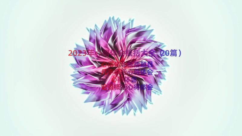 2023年心得体会概括大全（20篇）