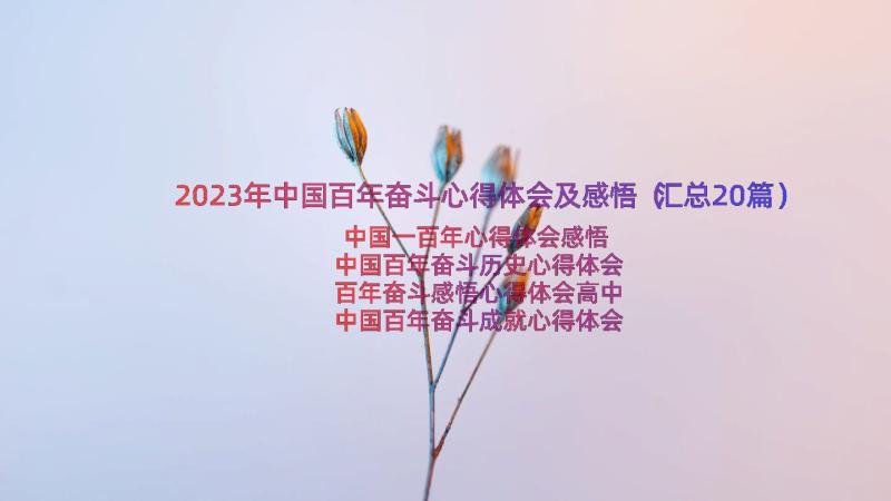 2023年中国百年奋斗心得体会及感悟（汇总20篇）