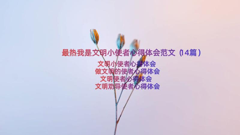 最热我是文明小使者心得体会范文（14篇）