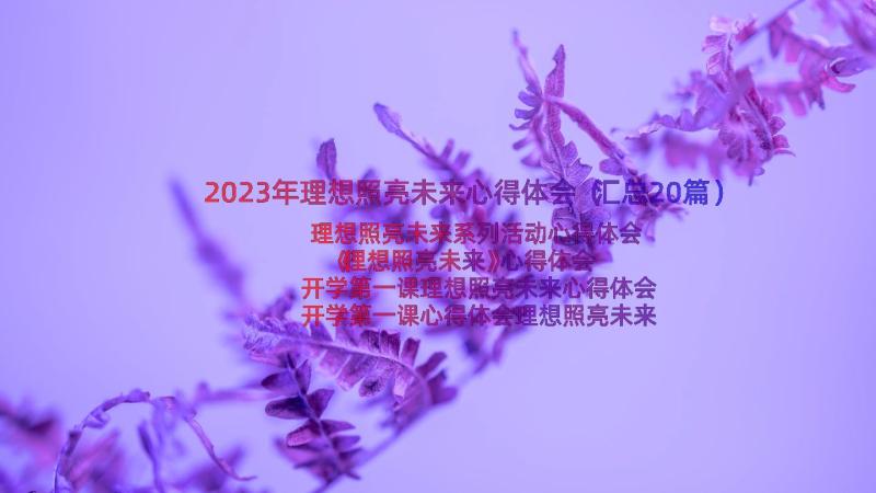 2023年理想照亮未来心得体会（汇总20篇）