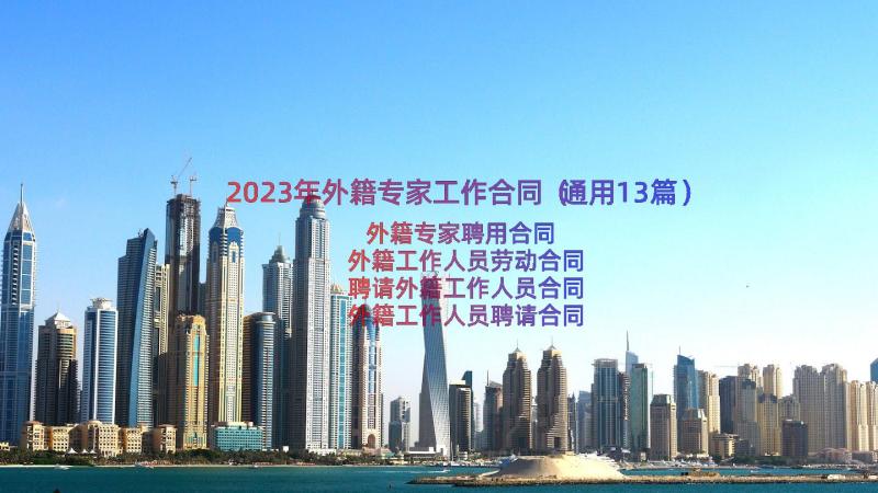 2023年外籍专家工作合同（通用13篇）