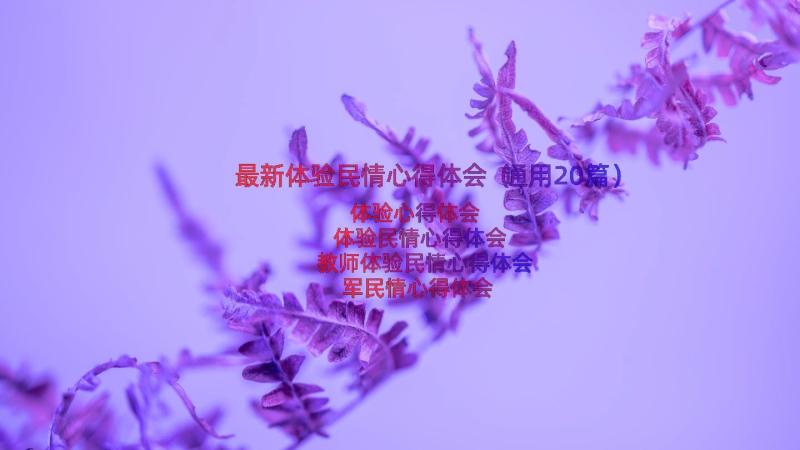 最新体验民情心得体会（通用20篇）