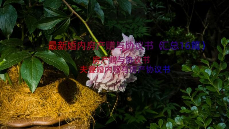 最新婚内房产赠与协议书（汇总16篇）