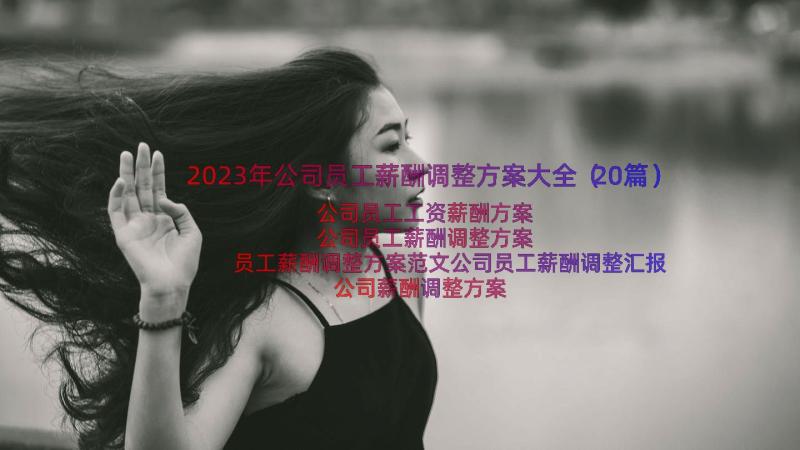 2023年公司员工薪酬调整方案大全（20篇）