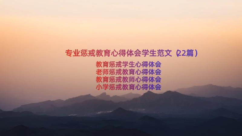 专业惩戒教育心得体会学生范文（22篇）