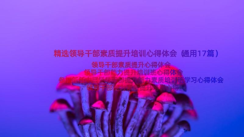 精选领导干部素质提升培训心得体会（通用17篇）