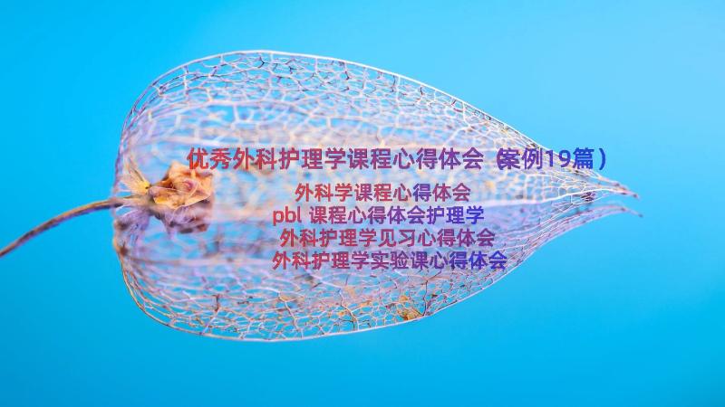 优秀外科护理学课程心得体会（案例19篇）