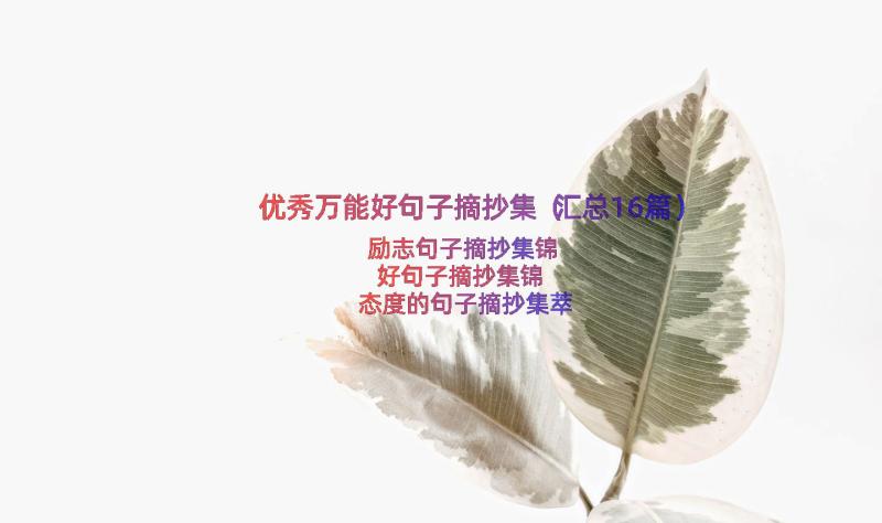 优秀万能好句子摘抄集（汇总16篇）