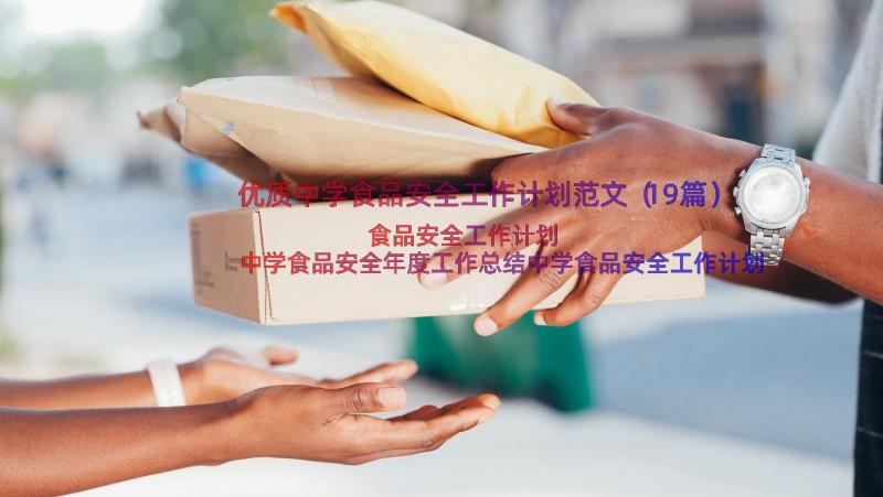 优质中学食品安全工作计划范文（19篇）