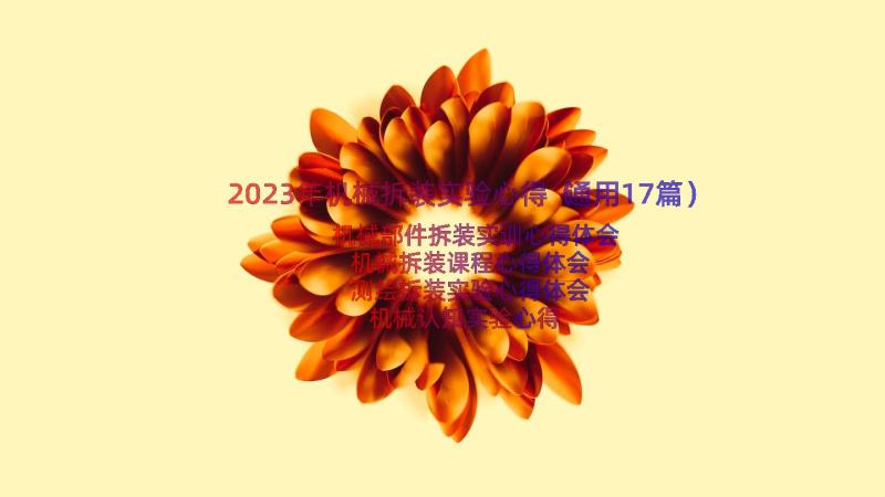 2023年机械拆装实验心得（通用17篇）