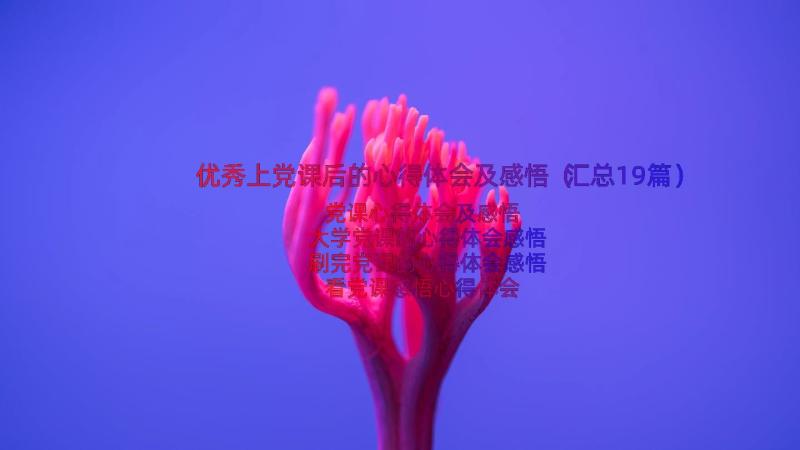 优秀上党课后的心得体会及感悟（汇总19篇）