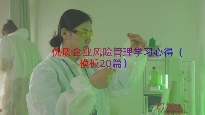 优质企业风险管理学习心得（模板20篇）