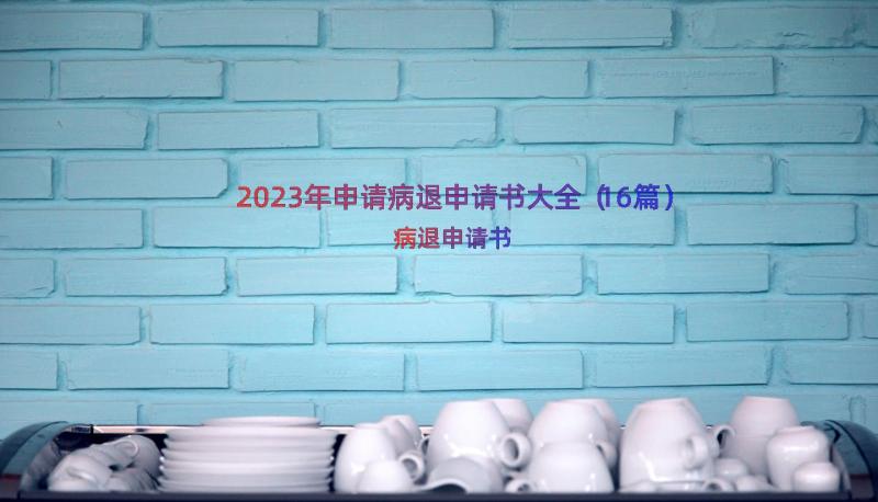 2023年申请病退申请书大全（16篇）