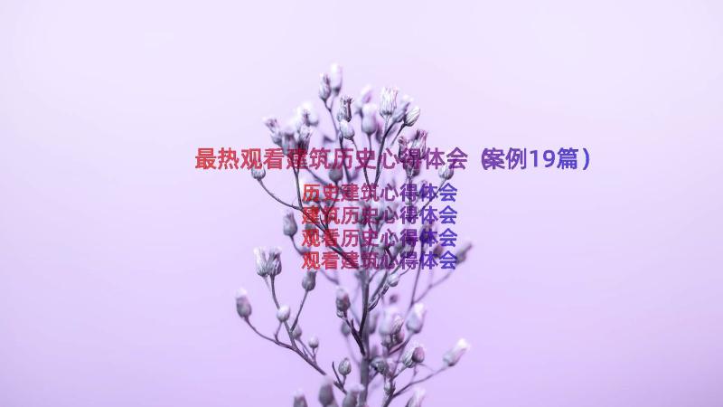 最热观看建筑历史心得体会（案例19篇）