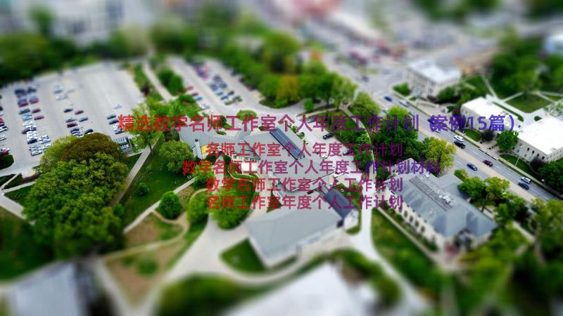 精选数学名师工作室个人年度工作计划（案例15篇）