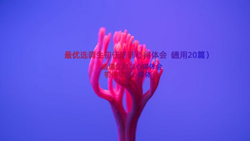 最优选调生初任培训心得体会（通用20篇）