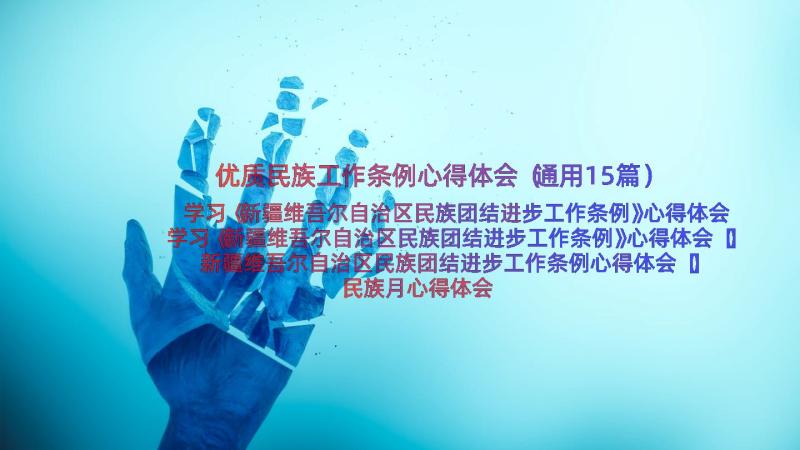 优质民族工作条例心得体会（通用15篇）