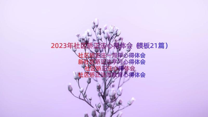 2023年社区矫正法心得体会（模板21篇）