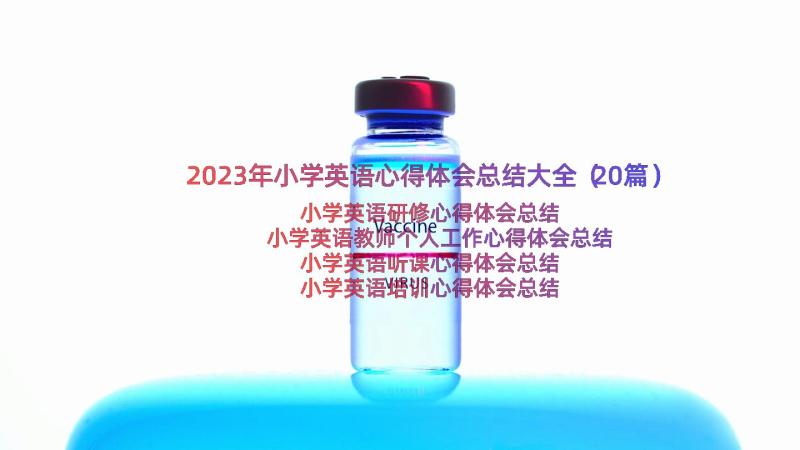 2023年小学英语心得体会总结大全（20篇）