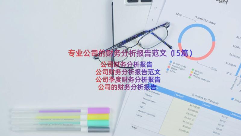 专业公司的财务分析报告范文（15篇）