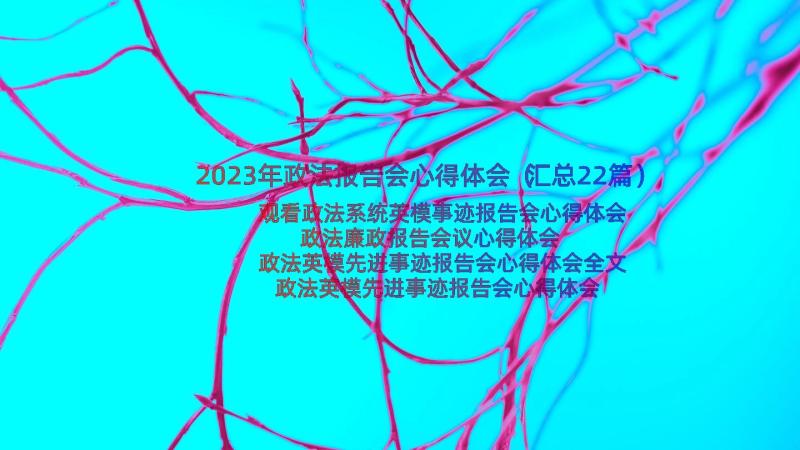 2023年政法报告会心得体会（汇总22篇）