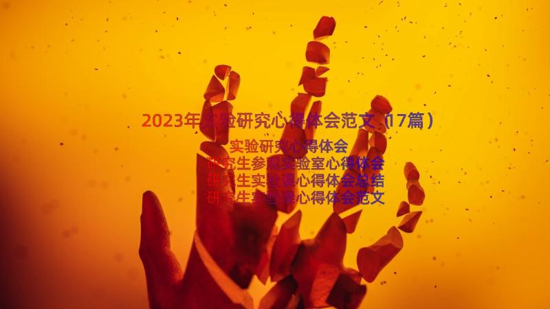 2023年实验研究心得体会范文（17篇）