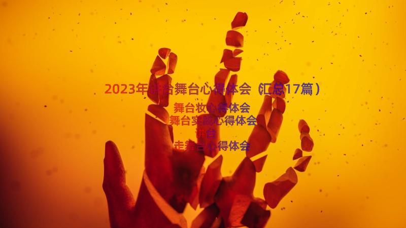 2023年讲台舞台心得体会（汇总17篇）