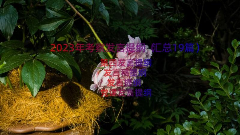 2023年考察发言提纲（汇总19篇）