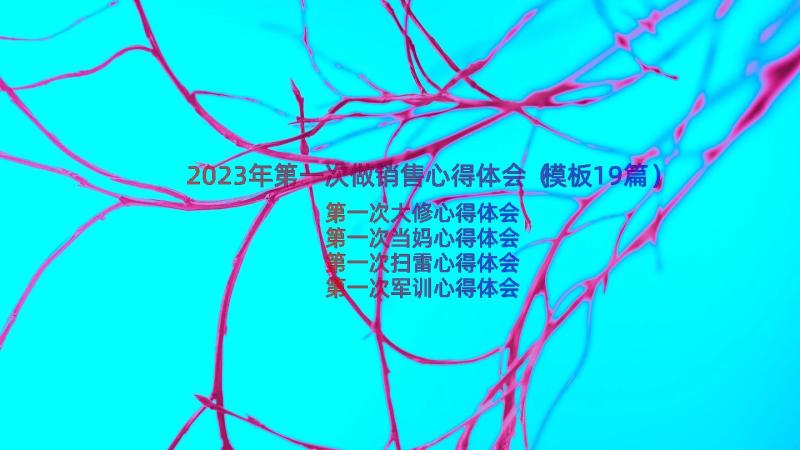 2023年第一次做销售心得体会（模板19篇）