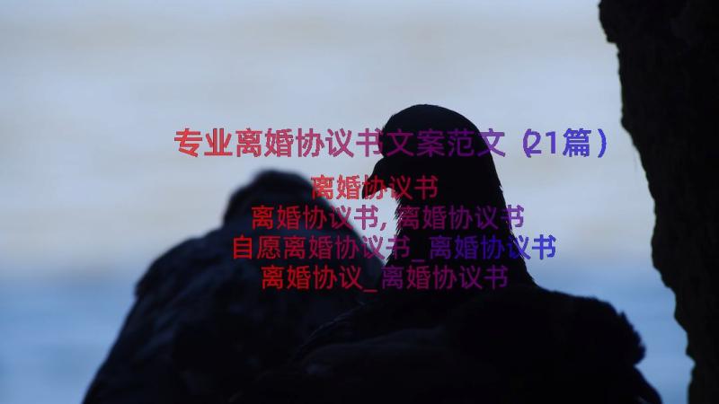 专业离婚协议书文案范文（21篇）