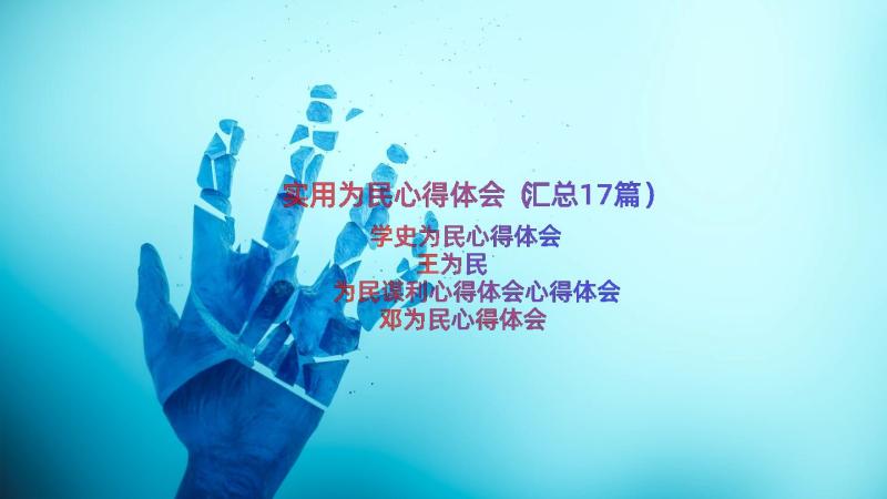 实用为民心得体会（汇总17篇）