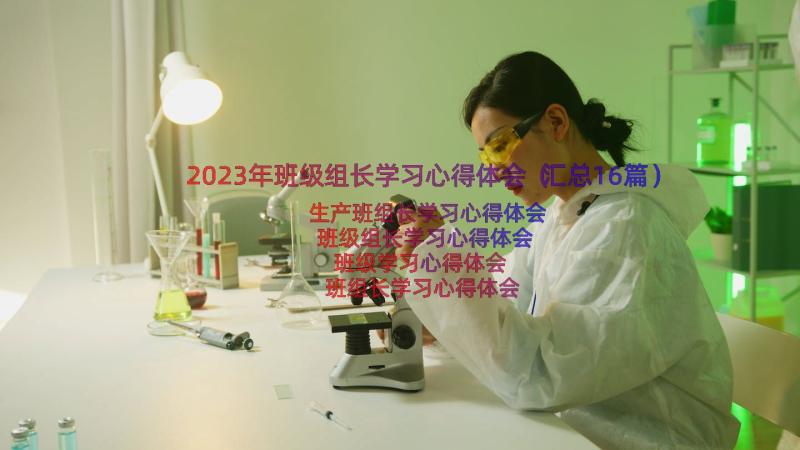 2023年班级组长学习心得体会（汇总16篇）