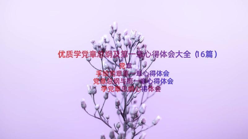 优质学党章总纲及第一章心得体会大全（16篇）