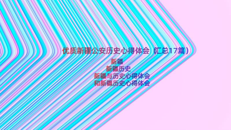 优质新疆公安历史心得体会（汇总17篇）