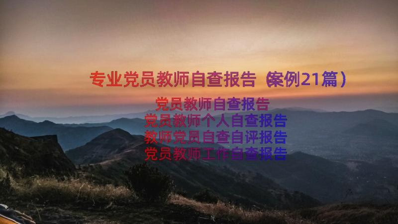 专业党员教师自查报告（案例21篇）