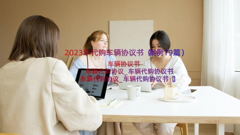 2023年代购车辆协议书（案例19篇）