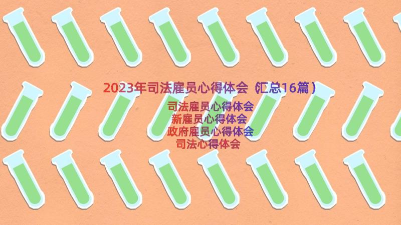 2023年司法雇员心得体会（汇总16篇）