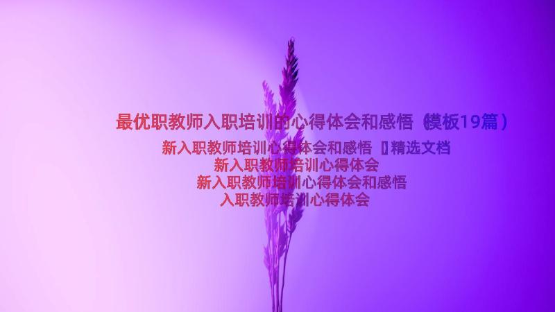 最优职教师入职培训的心得体会和感悟（模板19篇）