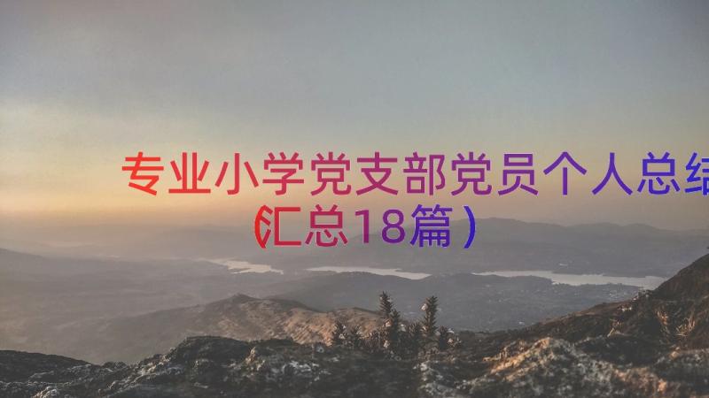 专业小学党支部党员个人总结（汇总18篇）