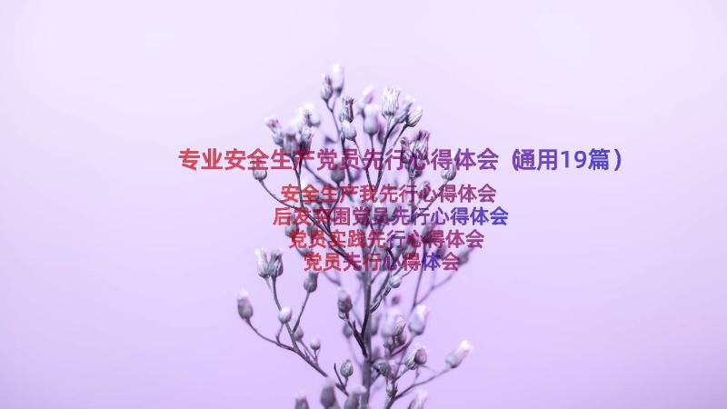 专业安全生产党员先行心得体会（通用19篇）