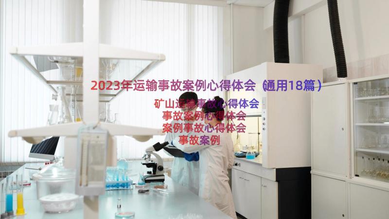 2023年运输事故案例心得体会（通用18篇）