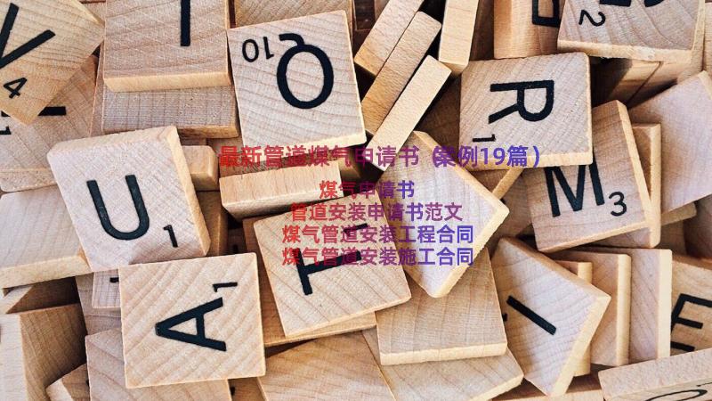 最新管道煤气申请书（案例19篇）