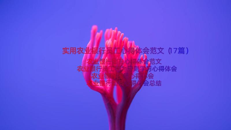 实用农业银行员工心得体会范文（17篇）