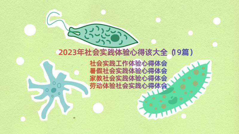 2023年社会实践体验心得该大全（19篇）