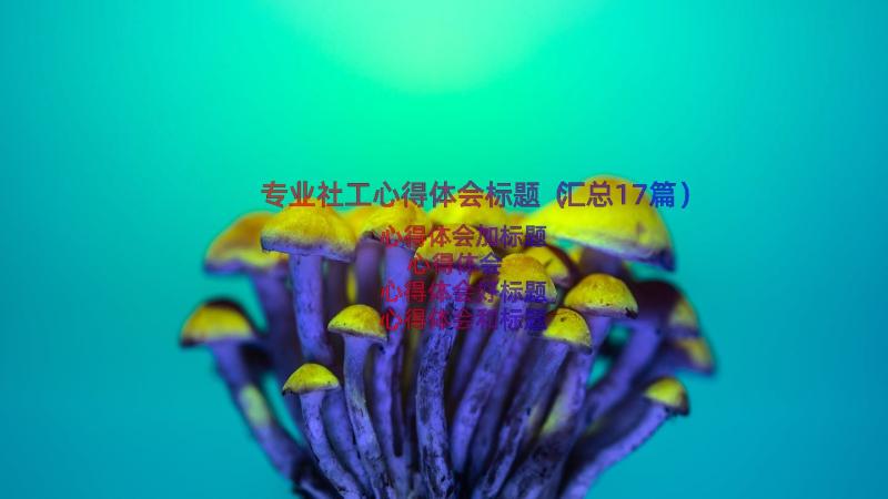 专业社工心得体会标题（汇总17篇）