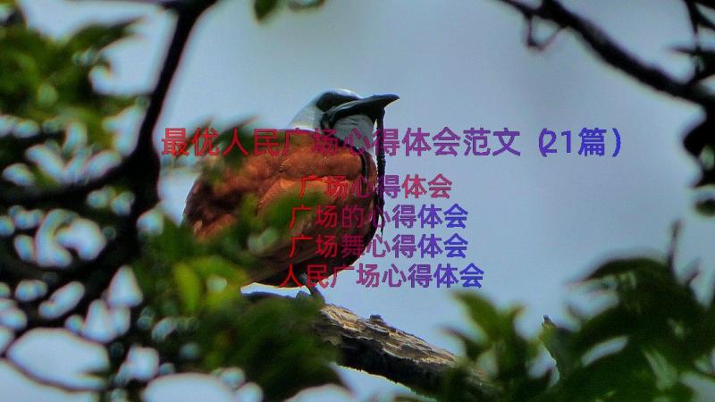 最优人民广场心得体会范文（21篇）